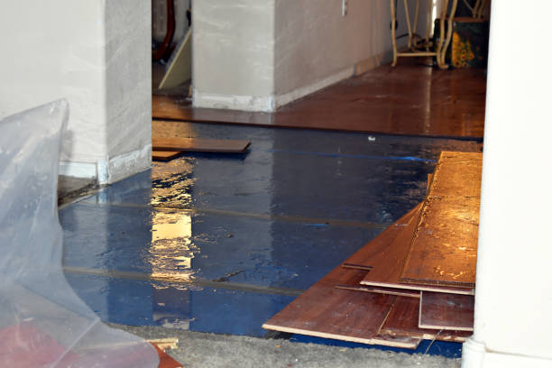 Professional Water Damage technician working in Martindale, TX