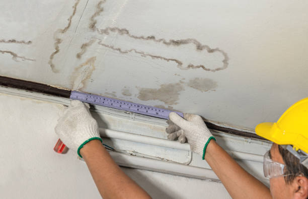 Reliable Water Damage contractor in Martindale, TX by Water Damage Irwin